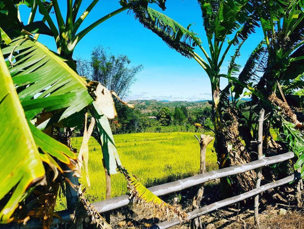 K'Tu village is the oldest cultural village in Kon Tum province, preserving the pristine beauty of the majestic mountains and rustic people of the Central Highlands. K'Tu Village still attracts many tourists every year who love to explore. Photo: Aliceaumont/Instagram.
