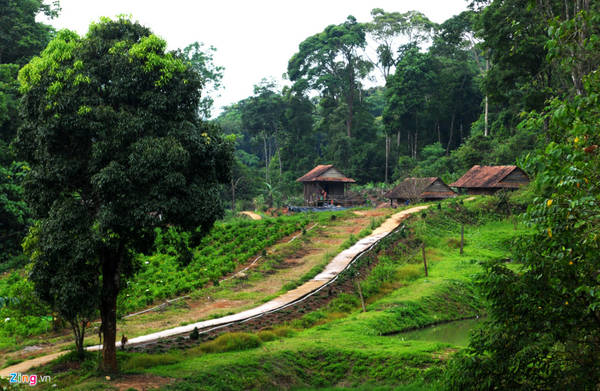 KonPlong district has more than 6,500 households, mainly the Xe Dang, Mo Nam, Ka Dong, Hre ethnic groups - accounting for over 80% of this local population, with many unique cultural features such as ancient folk musical instruments. Life is like vertical flutes, drums, gongs, gongs, pilings, percussion pipes, and pipe trusses that operate thanks to water power; The unique costumes of the people and the architectural culture of communal houses, long houses... associated with the wild natural mountain and forest space.