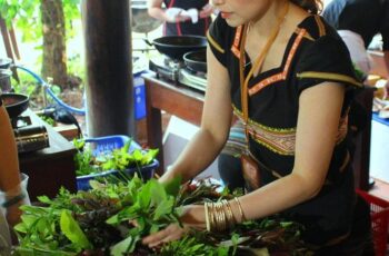 Specialties from wild vegetables – Kon Tum News