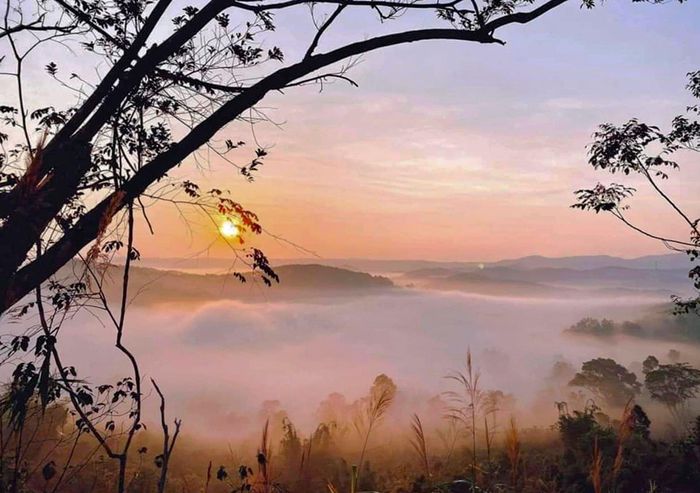 Dawn in Mang Den eco-tourism area