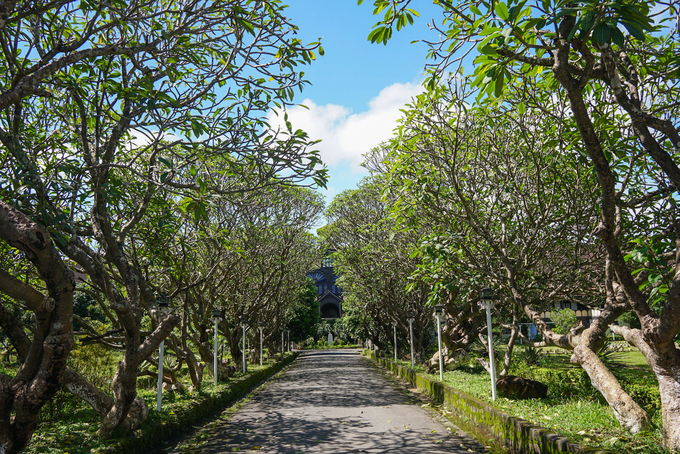 Surrounding the Bishop's Palace is a large campus with many perennial trees. The highlight is two rows of shady porcelain trees at the entrance, bringing peace and quiet. Kon Tum Bishop's Palace is closed on Tuesdays, the remaining days of the week are open to visitors.