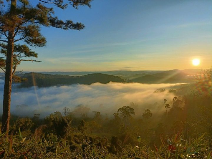 Experience of traveling to Mang Den Kon Tum: Cloud hunting spots attract tourists