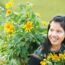 I love wild sunflowers so much – Kon Tum News