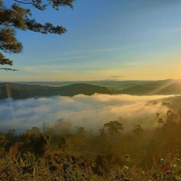 Experience of traveling to Mang Den Kon Tum: Cloud hunting spots attract tourists